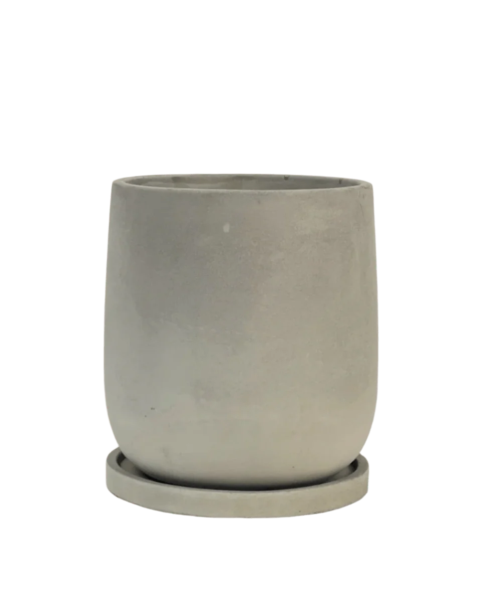 Dusty Grey Cement Planter with Tray - Medium - Image 8