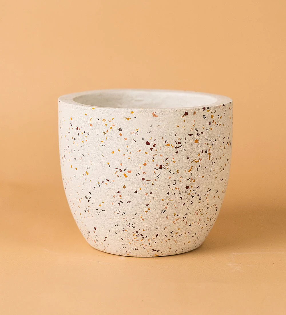 Egg Pots - Medium - Image 10