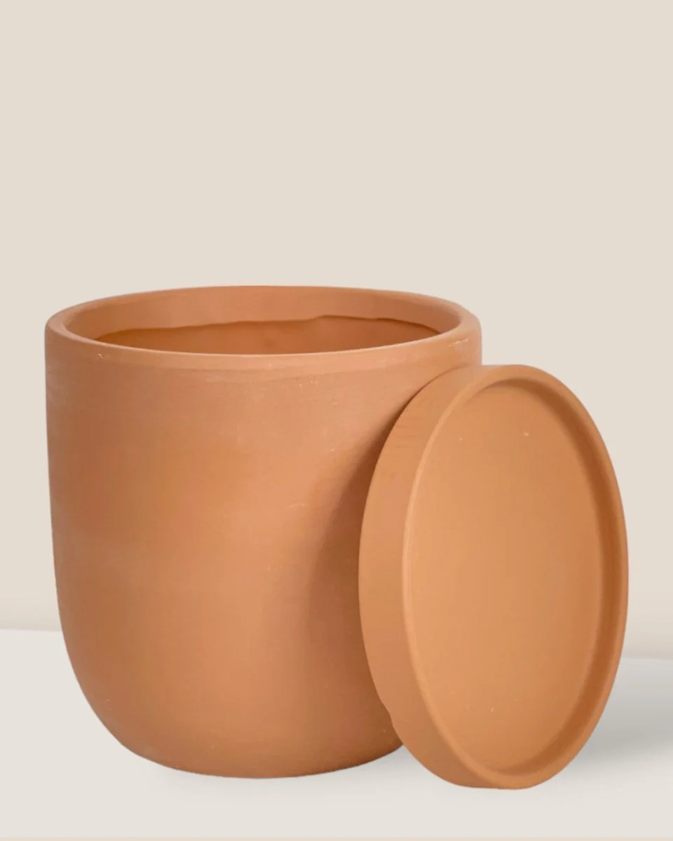 Eloise with Tray - Medium - Image 12