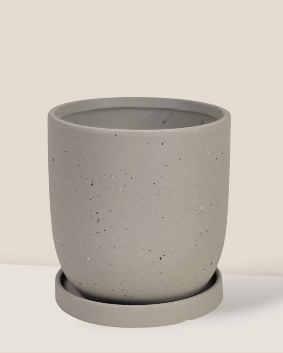Eloise with Tray - Medium - Image 13