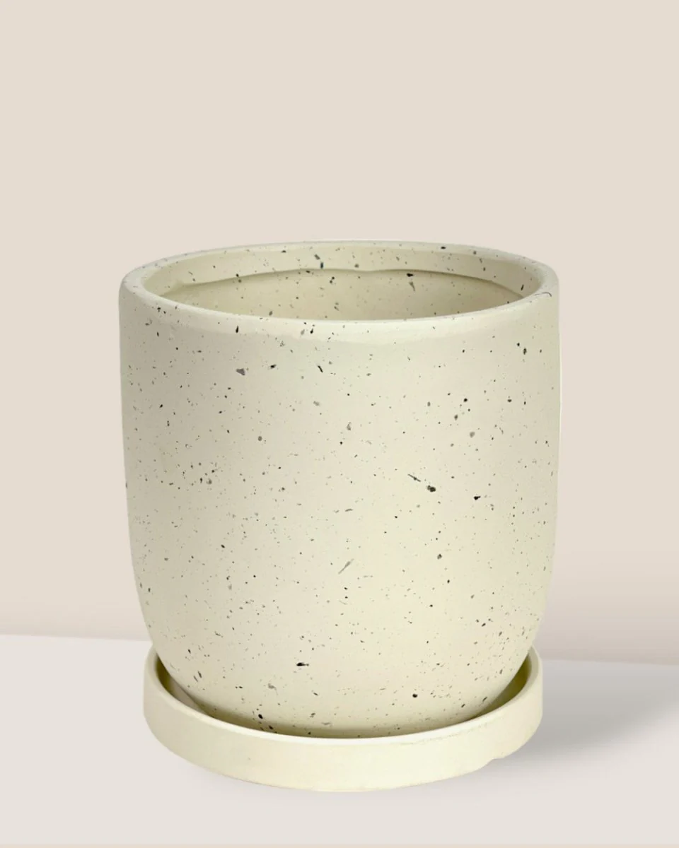 Eloise with Tray - Medium - Image 5