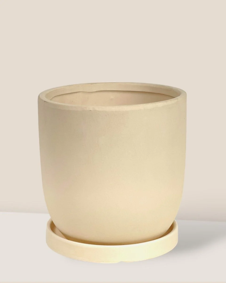 Eloise with Tray - Medium - Image 8