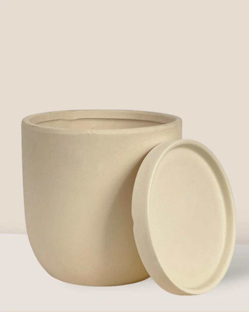 Eloise with Tray - Medium - Image 9