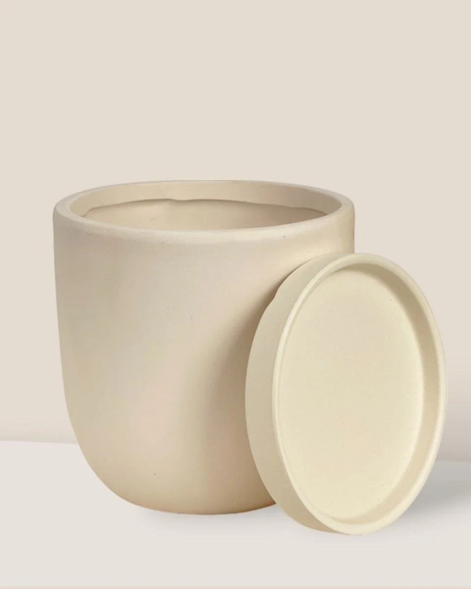 Eloise with Tray - Small - Image 7