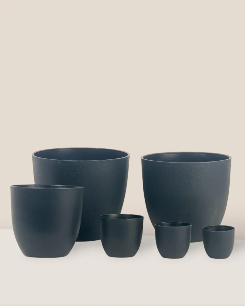 Luxe Plastic Pot - Medium