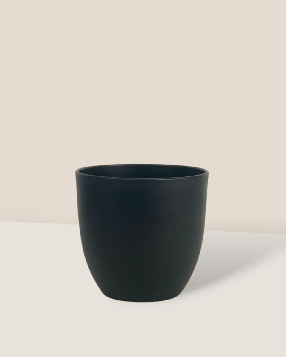 Luxe Plastic Pot - Medium - Image 2