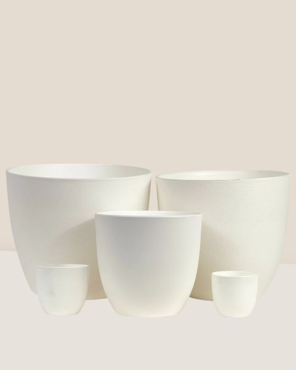 Luxe Plastic Pot - Medium - Image 3