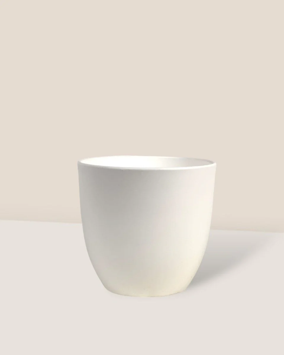 Luxe Plastic Pot - Medium - Image 4