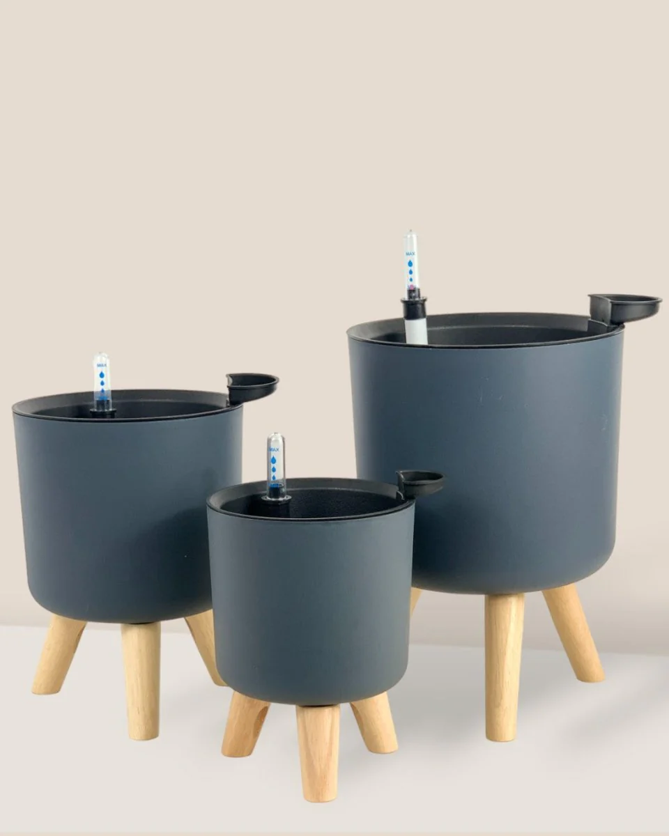 Self Watering Pot with Stand - Medium - Image 3