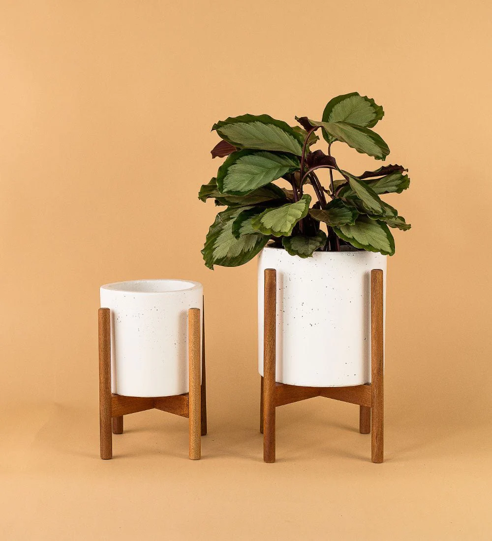 Mid Century Planter with Wooden Plant Stand - Image 5