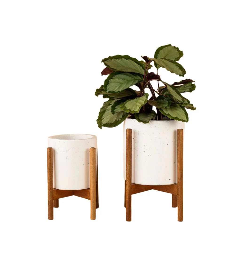 Mid Century Planter with Wooden Plant Stand - Image 7