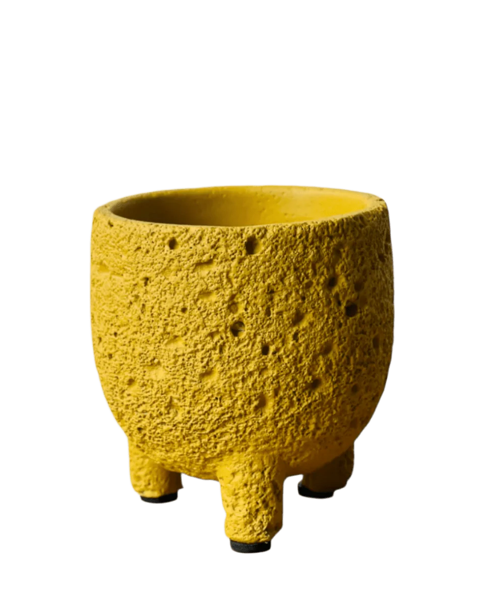 Anya Cement Pot Mini - Image 12