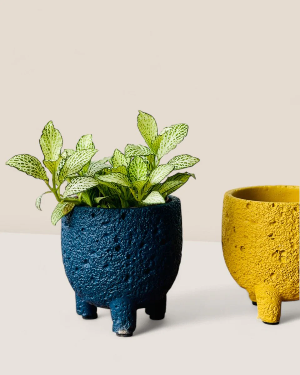 Anya Cement Pot Mini - Image 4