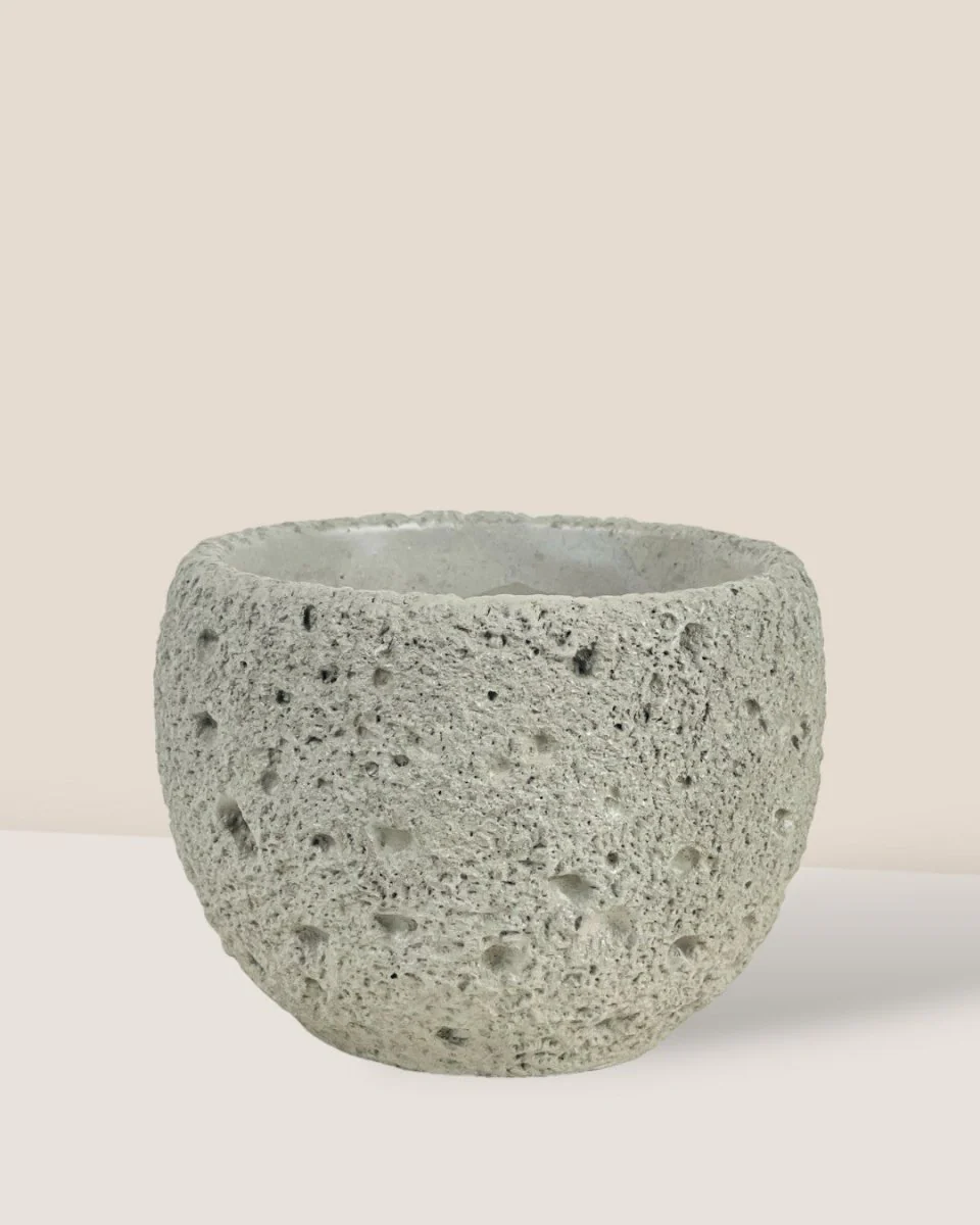 Round Cement Planter - Mini