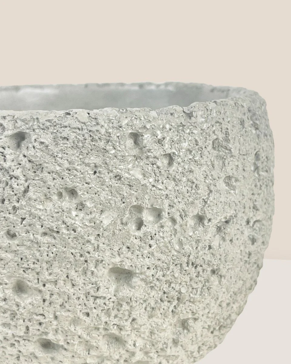 Round Cement Planter - Mini - Image 3