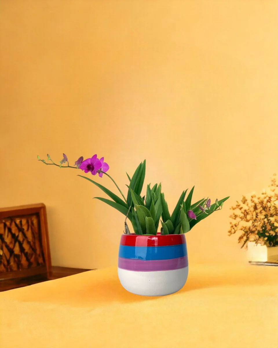 Mini Orchid - Image 10