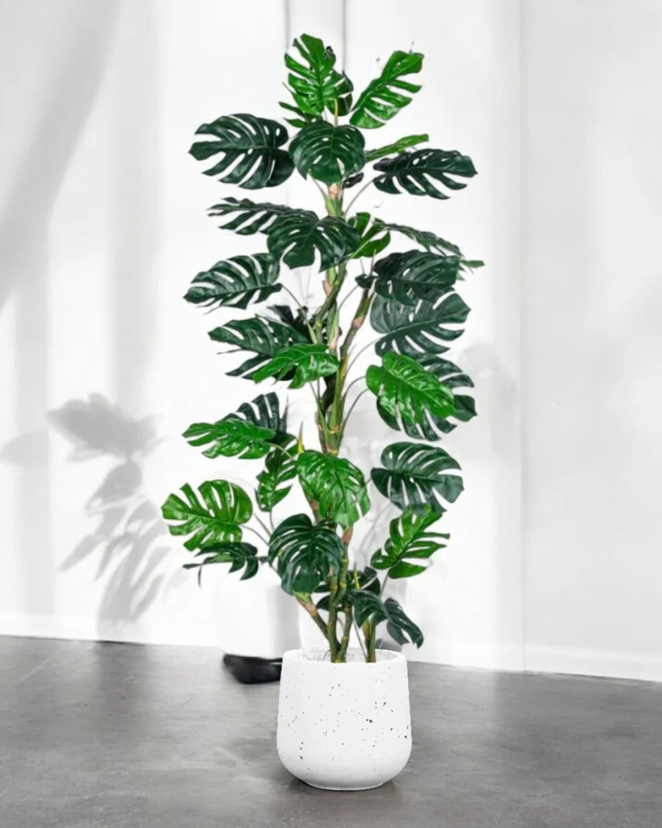 Monstera Tree (Life-life Artificial) - Image 10