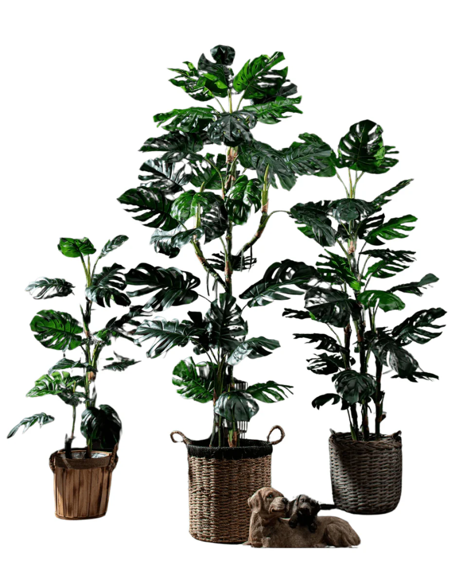 Monstera Tree (Life-life Artificial) - Image 11