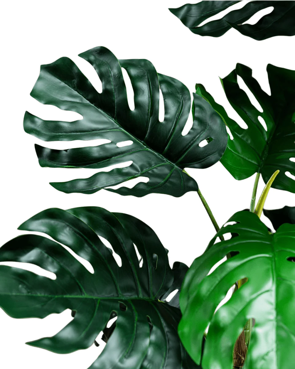 Monstera Tree (Life-life Artificial) - Image 13