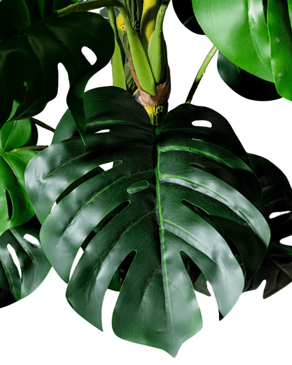 Monstera Tree (Life-life Artificial) - Image 15