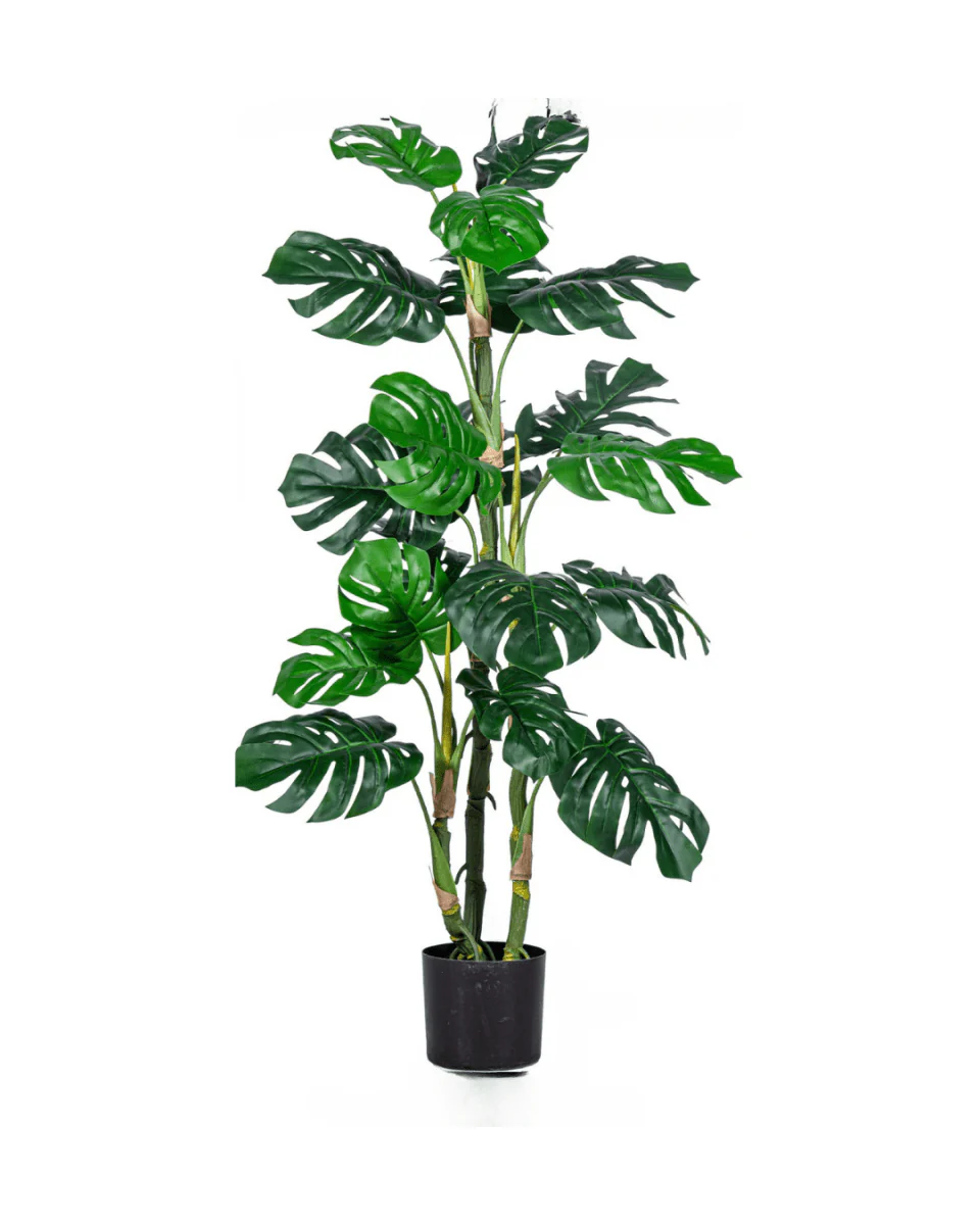 Monstera Tree (Life-life Artificial) - Image 16