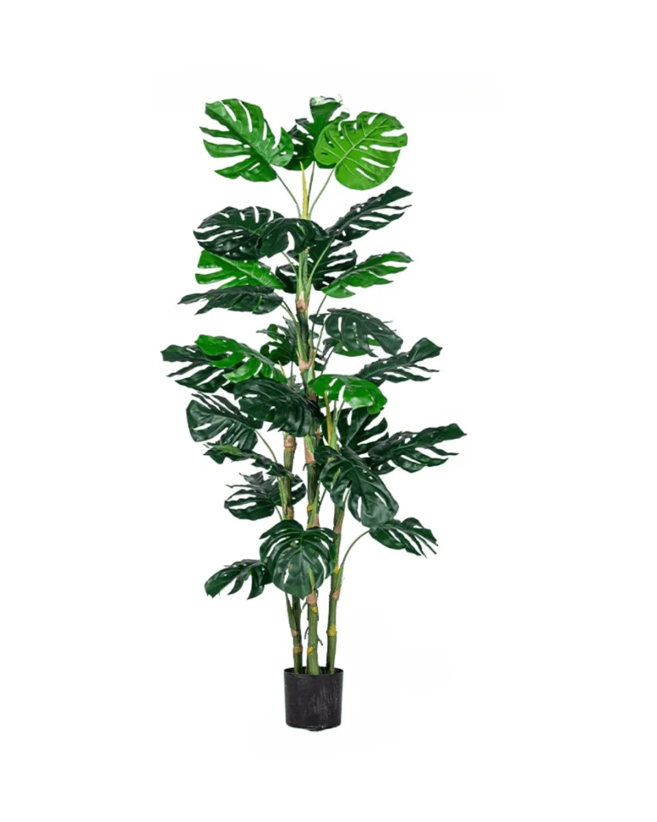 Monstera Tree (Life-life Artificial) - Image 17