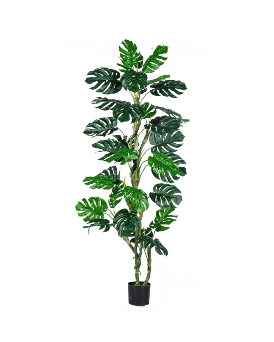 Monstera Tree (Life-life Artificial) - Image 18