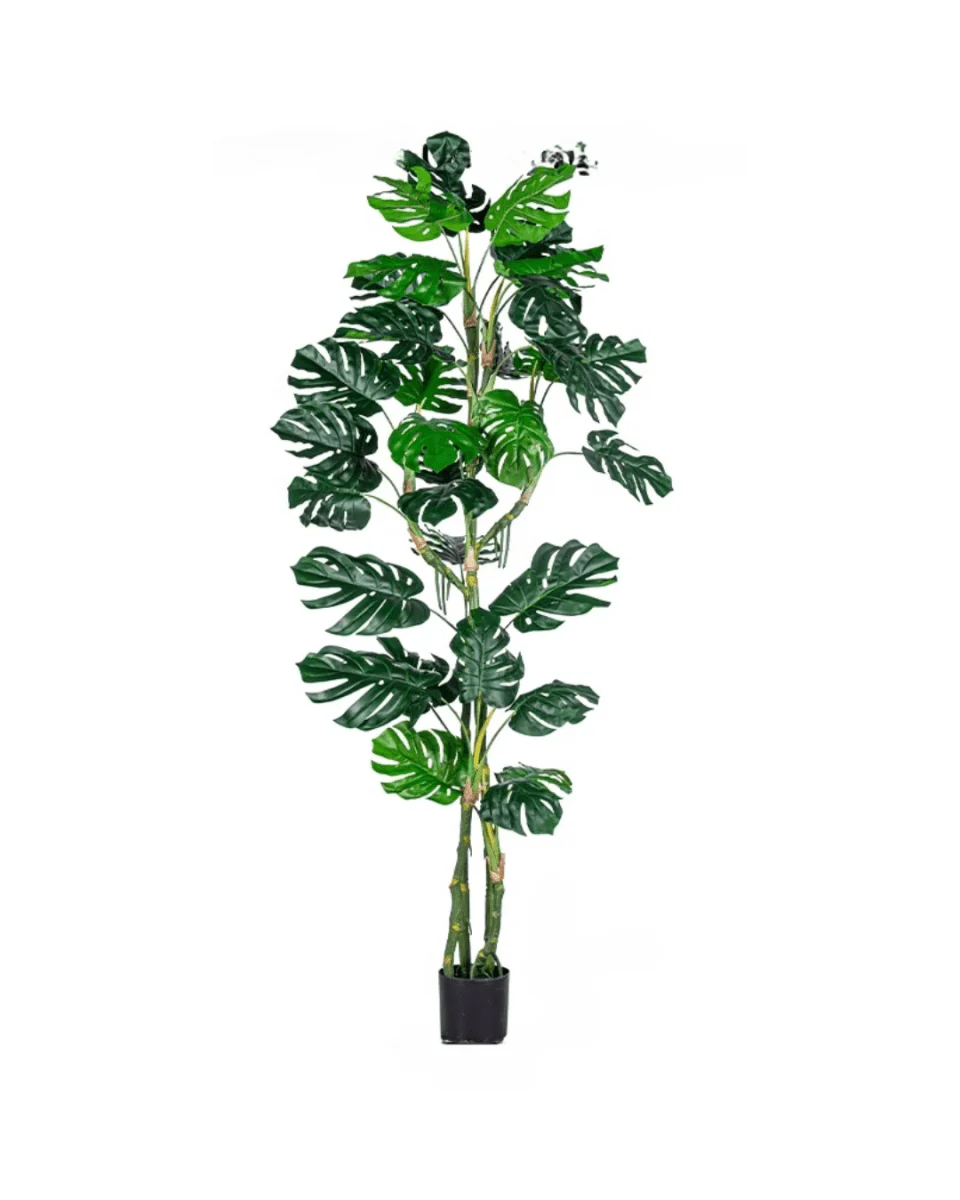 Monstera Tree (Life-life Artificial) - Image 19