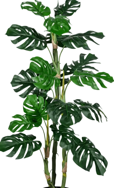 Monstera Tree (Life-life Artificial) - Image 21