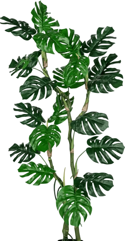 Monstera Tree (Life-life Artificial) - Image 22