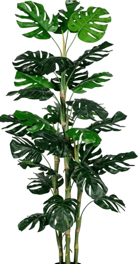 Monstera Tree (Life-life Artificial) - Image 23