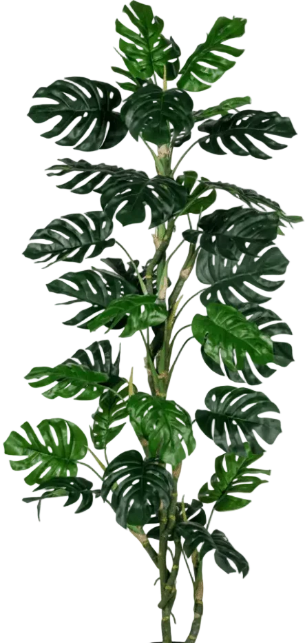 Monstera Tree (Life-life Artificial) - Image 24