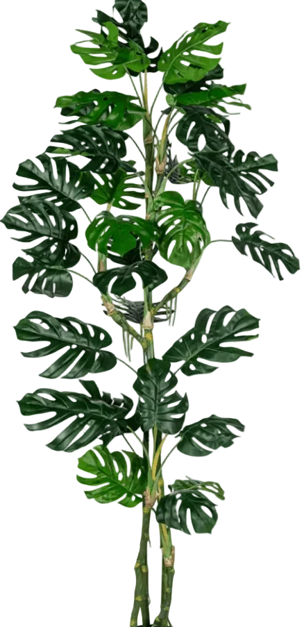 Monstera Tree (Life-life Artificial) - Image 25
