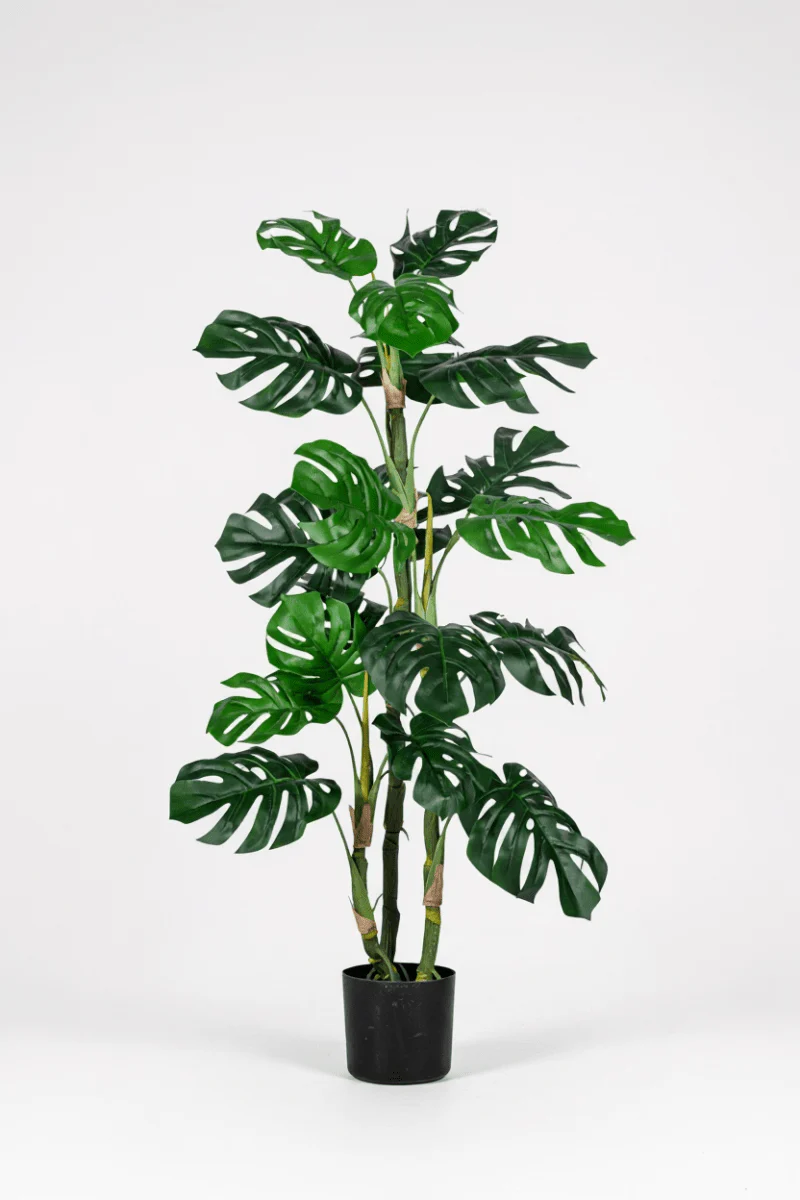 Monstera Tree (Life-life Artificial) - Image 4