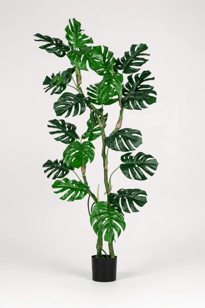 Monstera Tree (Life-life Artificial) - Image 5