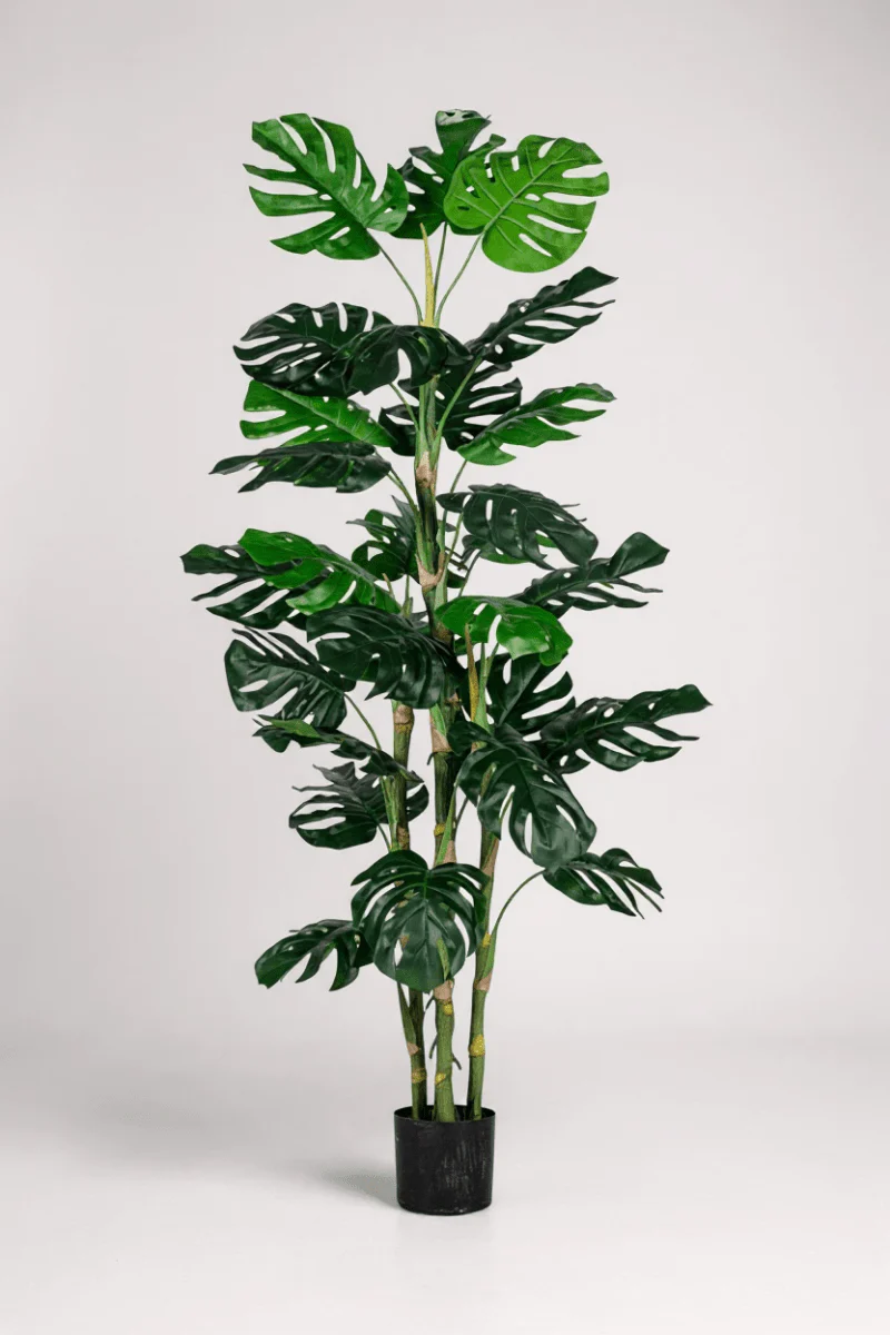 Monstera Tree (Life-life Artificial) - Image 6
