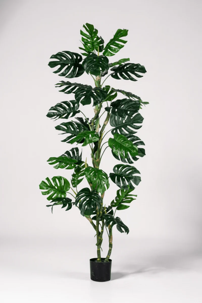 Monstera Tree (Life-life Artificial) - Image 7