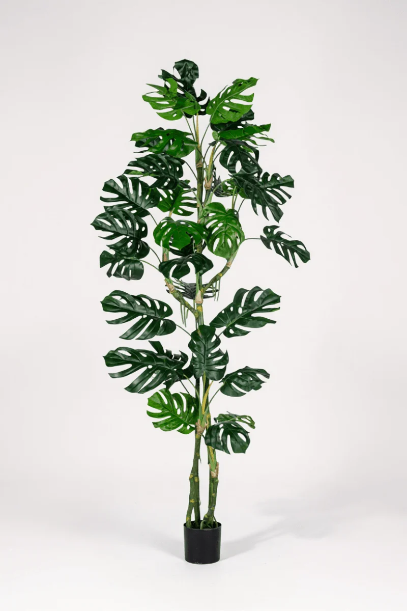 Monstera Tree (Life-life Artificial) - Image 8
