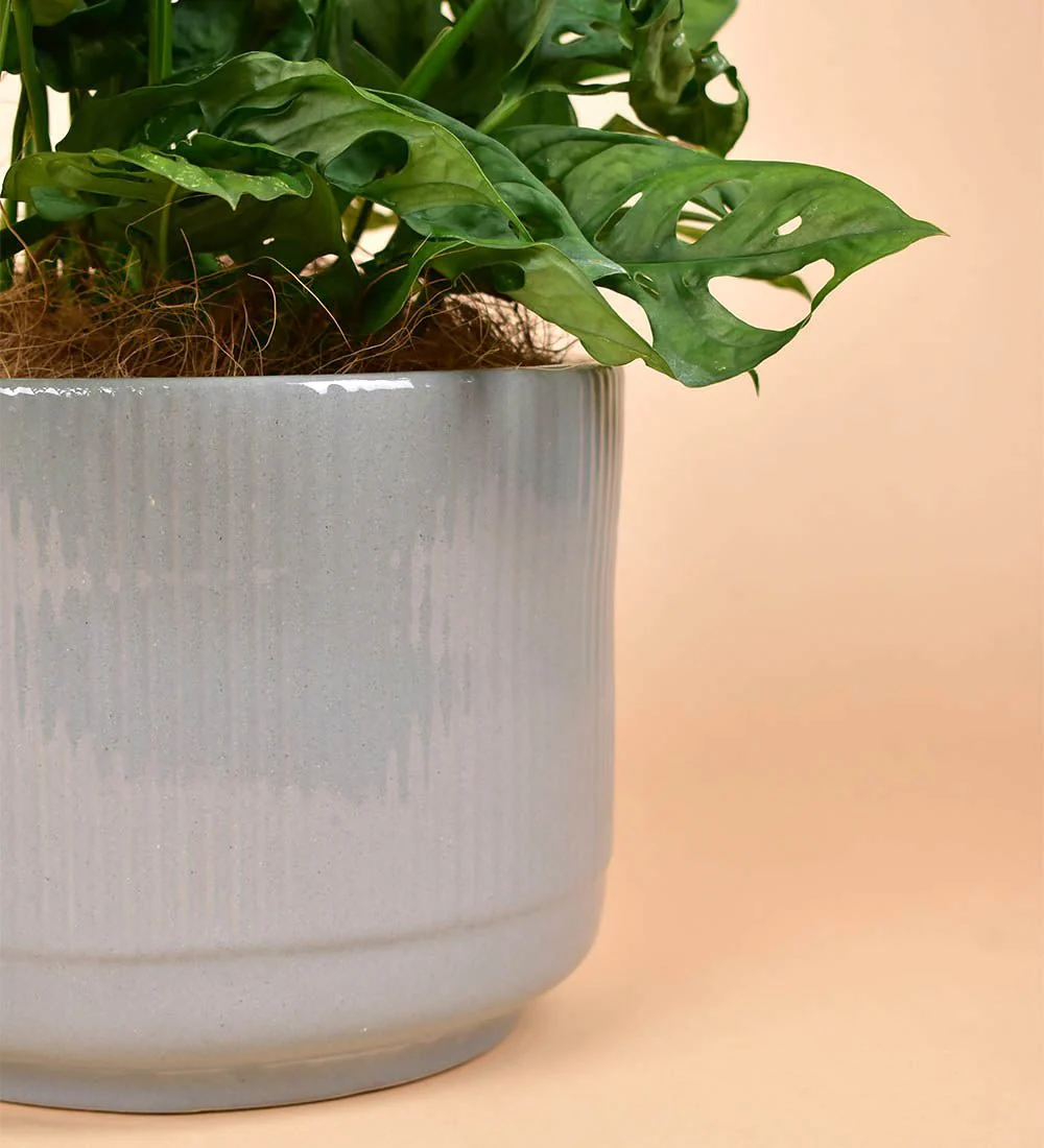 Morandi Pot - Image 5