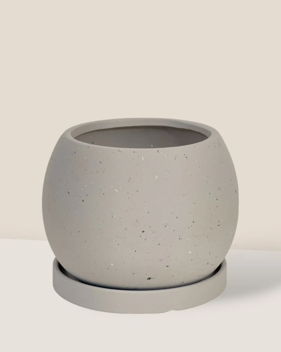 Nala Planter - Medium - Image 2