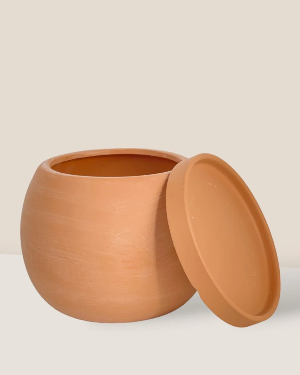 Nala Planter - Small - Image 10