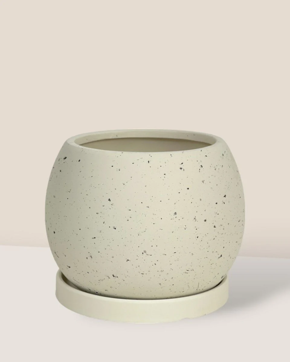 Nala Planter - Small - Image 12