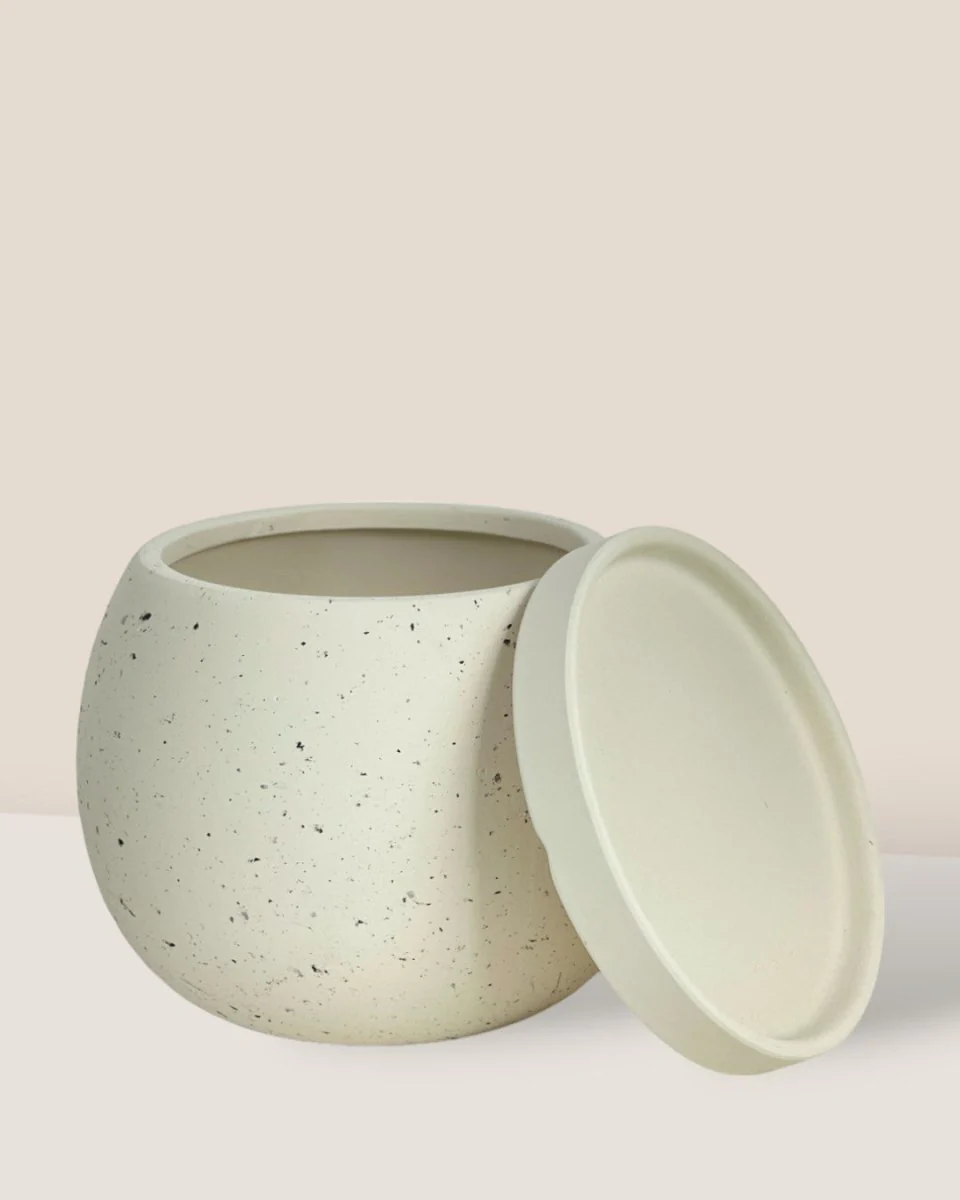 Nala Planter - Small - Image 13