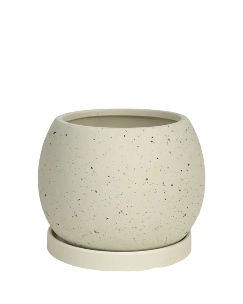 Nala Planter - Small - Image 16