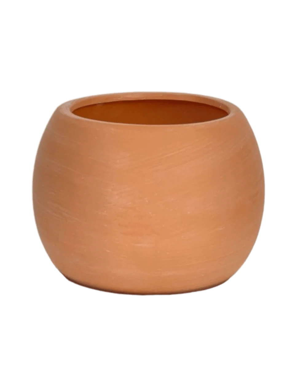Nala Planter - Small - Image 20