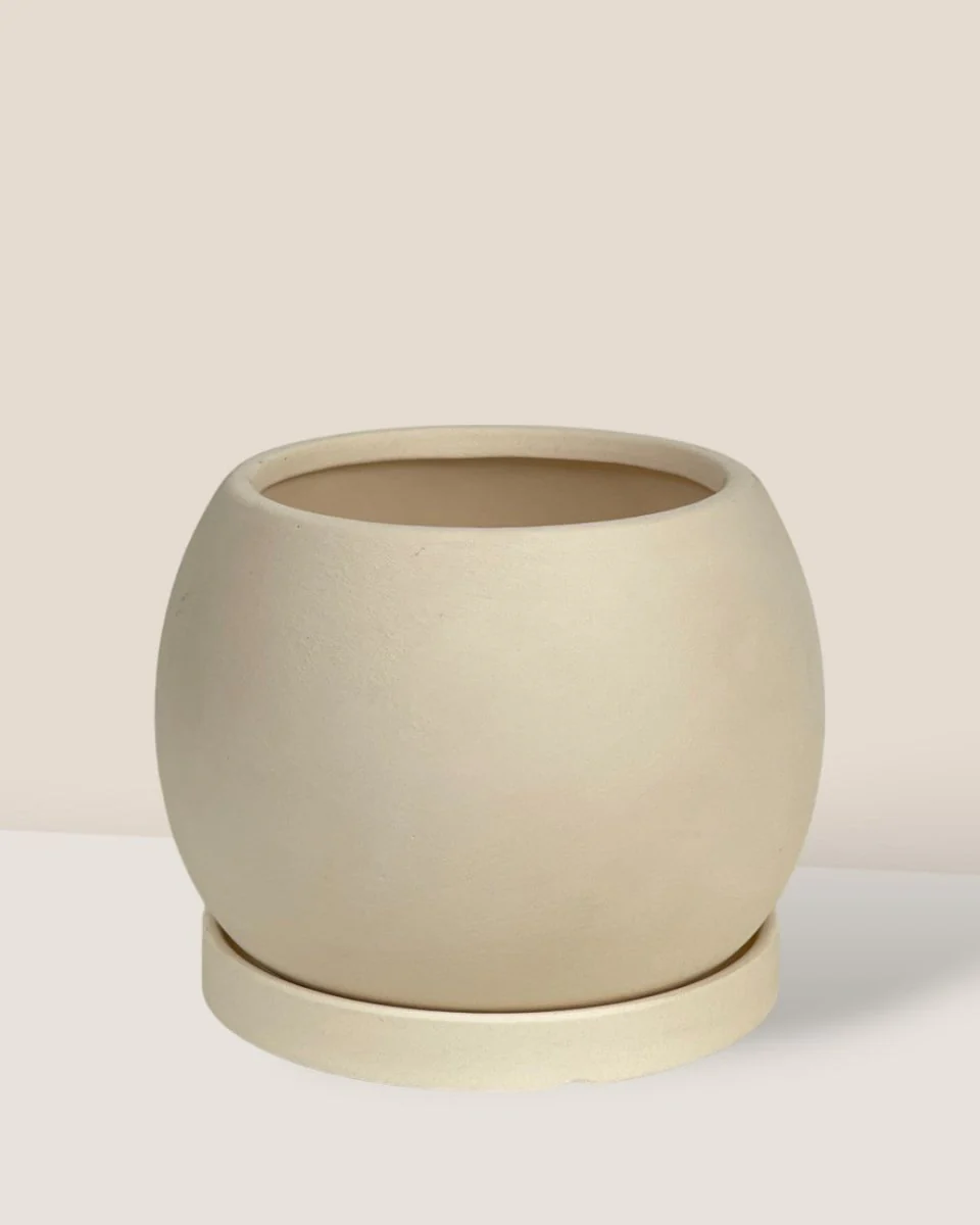 Nala Planter - Small - Image 5