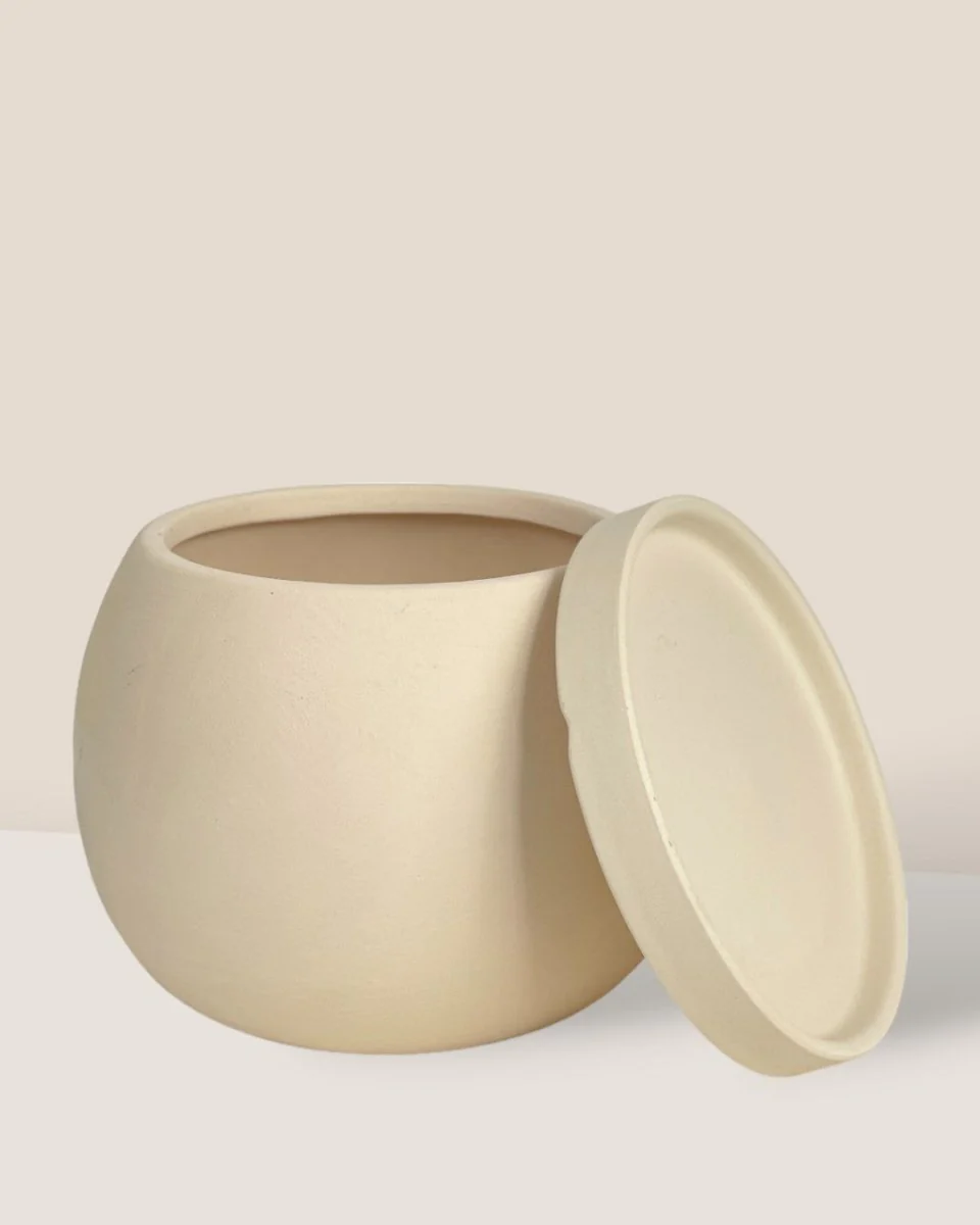 Nala Planter - Small - Image 6