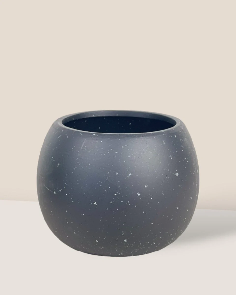 Nala Planter - Small - Image 7