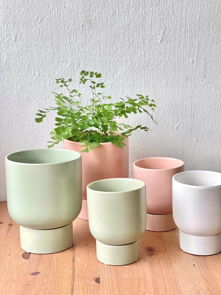 Nicole Ceramic Pot - Small - Image 2