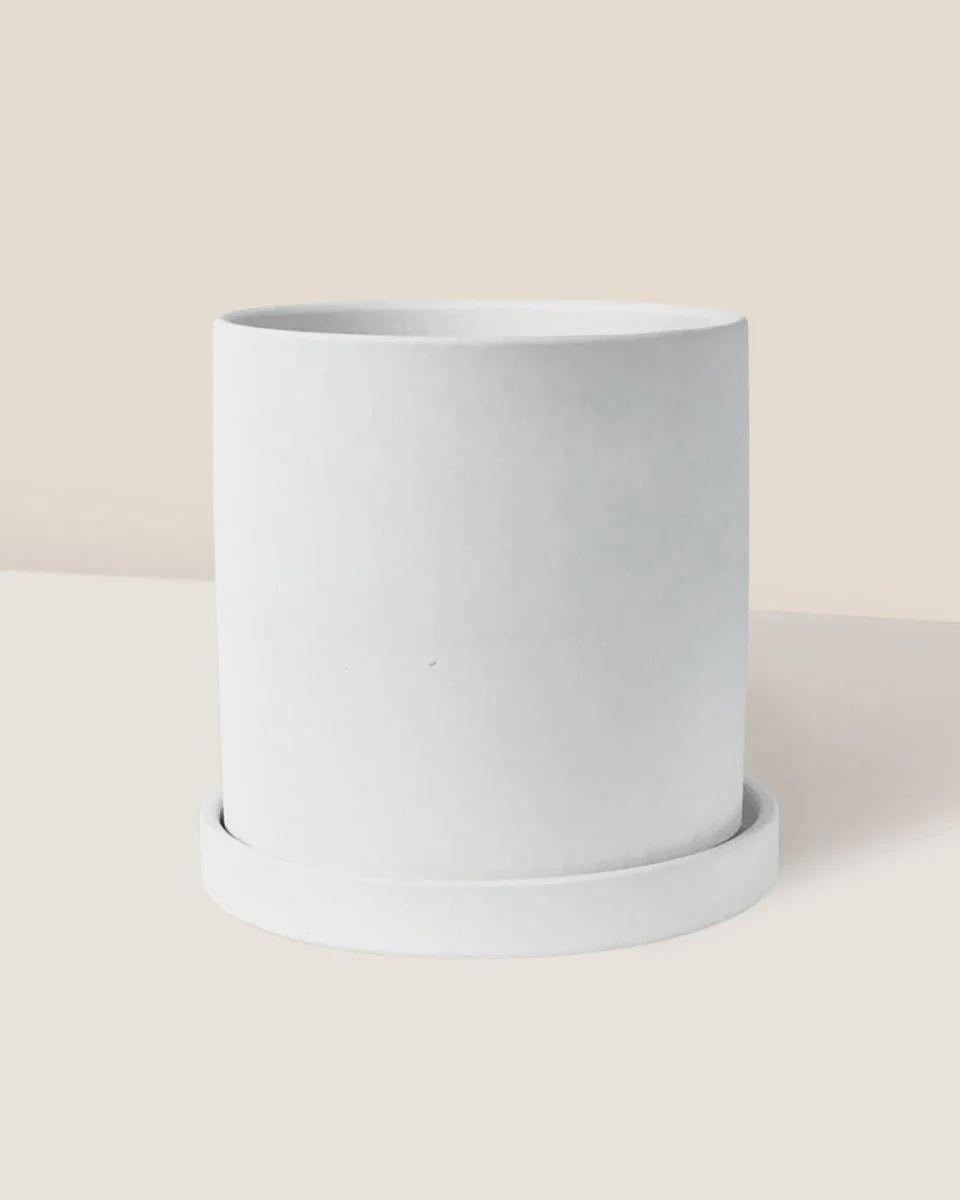 Nordic White Cylinder Planter